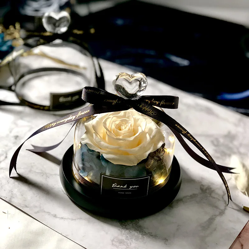 Эксклюзивный стеклянный купол  – обзор и цена Decor Timeless Lighting